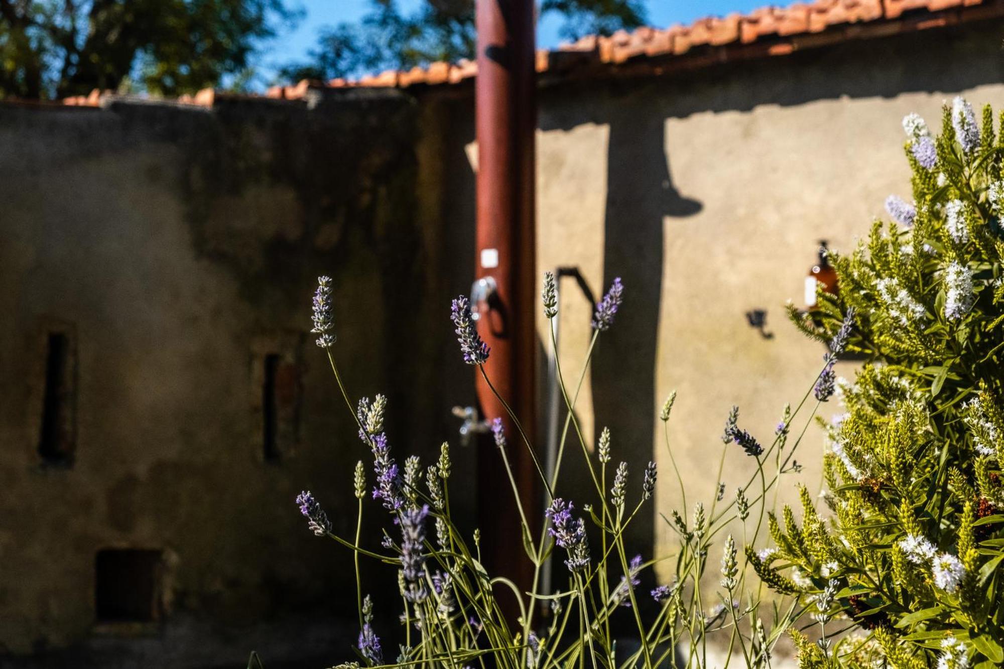 Casenuove III - Casale Con Giardino E Piscina Castiglioncello Exterior foto